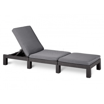 Gultas DAYTONA Graphite