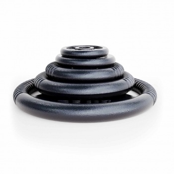 Ketaus diskinių svorių rinkinys 100 kg OZ100